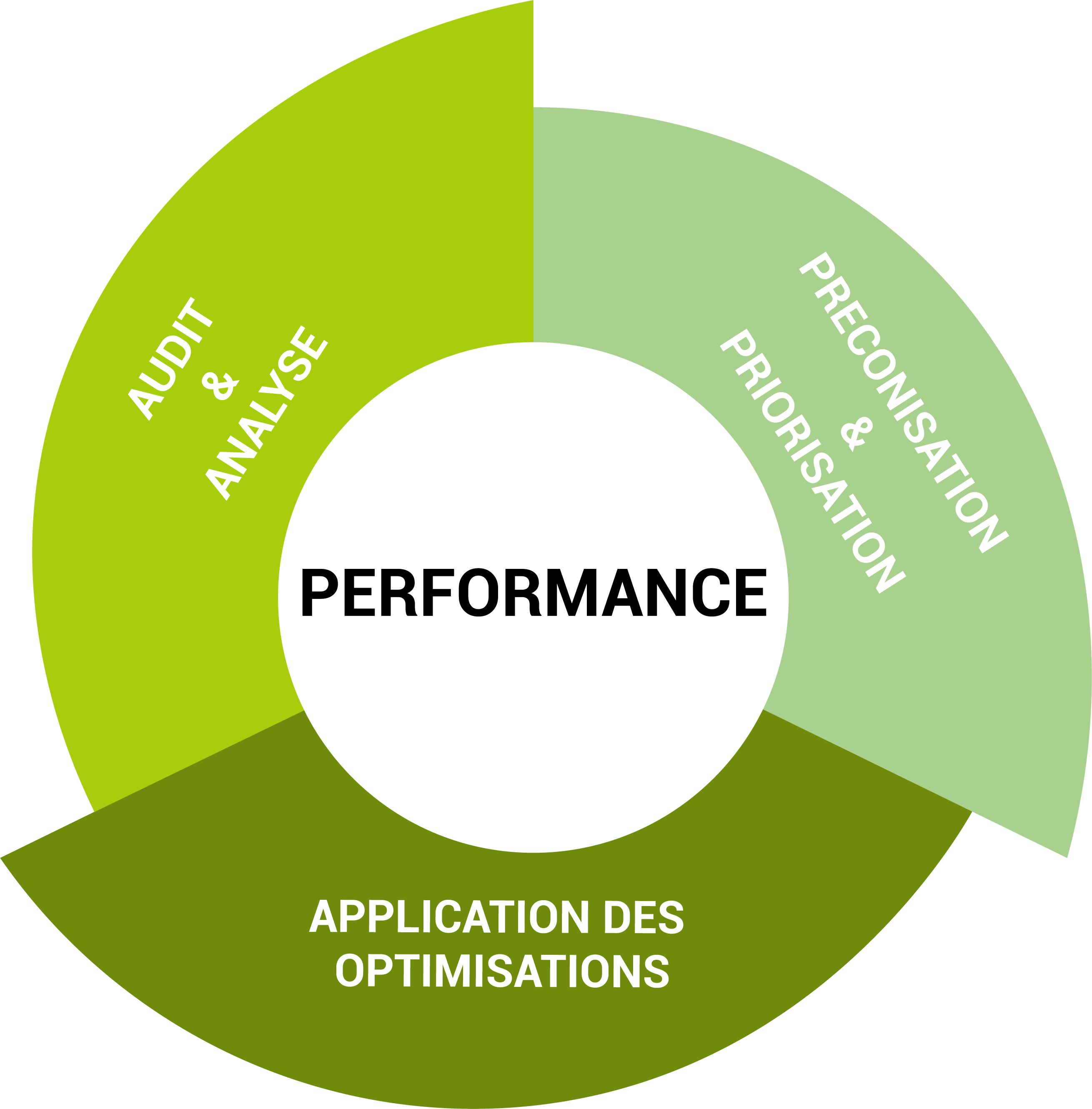 audit performance