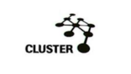 CLUSTER