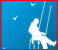 La protection anti pigeon (Coulaines Sarthe) La protection anti pigeon (Coulaines Sarthe)