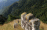 Le guide touristique au féminin : destinations incontournables en Lorraine Le guide touristique au féminin : destinations incontournables en Lorraine