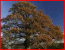 Blog de voyage : voyages et réflexion Blog de voyage : voyages et réflexion