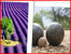 Vos solutions événementielles en Provence et Méditerranée Vos solutions événementielles en Provence et Méditerranée