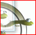 Webanalyse is a tool for analysis of traffic Internet Freeware Webanalyse is a tool for analysis of traffic Internet Freeware
