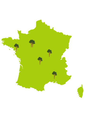 Carte France Arbre