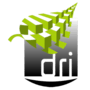 Logo DRI